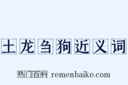 土龙刍狗近义词是什么意思的图片